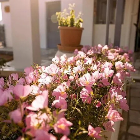 Appartement Voukolia House *